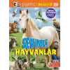 3D Şaşırtıcı Bilgiler - Sevimli Hayvanlar