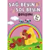 5 Yaş Sağ Beyin-Sol Beyin Gelişimi