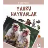 Adım Adım - Yavru Hayvanlar
