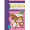 Animals