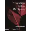 Avucumda Solan Bir Yaprak