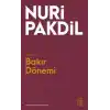 Bakır Dönemi