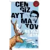 Beyaz Gemi