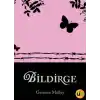 Bildirge