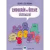 Bilimin Çizgi Romanı - Endokrin ve Üreme Sistemleri