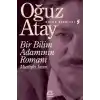 Bir Bilim Adamının Romanı