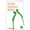 Bitki Zekası