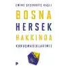 Bosna Hersek Hakkında Konuşmadıklarımız