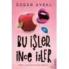 Bu İşler İnce İşler