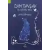 Cam Tavşan - Bir Hıdrellez Günü