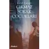 Çıkmaz Sokak Çocukları