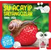 Daha Küçükler İçin Şu Acayip Salyangozlar
