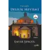 Darüşşifa - Delilik Mevsimi