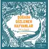 Doğada Gizlenen Hayvanlar Bul ve Keşfet