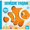 Dokun ve Hisset Denizde Yaşam