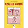 Dolaşım Sistemi - Gençler İçin Çizgilerle Bilim