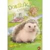 Dostluk Ormanı 6 - İnci Dikenlisırtın Harika Planı