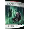 Drizzt Efsanesi 2 - Sürgün