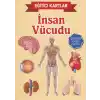 Eğitici Kartlar İnsan Vücudu