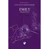 Emily Tırmanıyor - Rüzgarın Kızı Emily 2