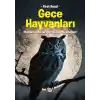 Gece Hayvanları
