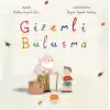 Gizemli Buluşma