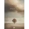 Gölgesiz Ağaç