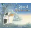Güneşi Beklerken