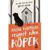 Hayal Kurmaya Cesaret Eden Köpek