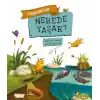 Hayvanlar Nerede Yaşar ?