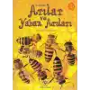 İlk Okuma - Arılar ve Yaban Arıları