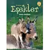 İlk Okuma - Eşekler
