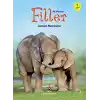 İlk Okuma - Filler