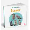 İlk Sözcüklerim - Sayılar