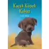 Kaçak Köpek Kakao