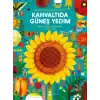 Kahvaltıda Güneş Yedim