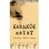 Karekök Hayat
