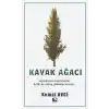 Kavak Ağacı