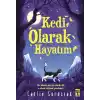 Kedi Olarak Hayatım