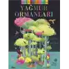 Keşfediyorum: Yağmur Ormanları