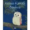 Kırmızı Kanatlı Baykuş