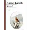 Kırmızı Kanatlı Kartal