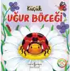 Küçük Uğur Böceği