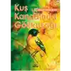 Kuş Kanadında Gökkuşağı
