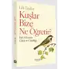 Kuşlar Bize Ne Öğretir?