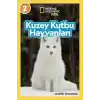 Kuzey Kutbu Hayvanları