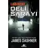 Labirent: Deli Sarayı