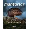 Mantarlar