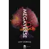 Megaverse