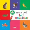 Minik Kitaplarım – Evcil Hayvanlar